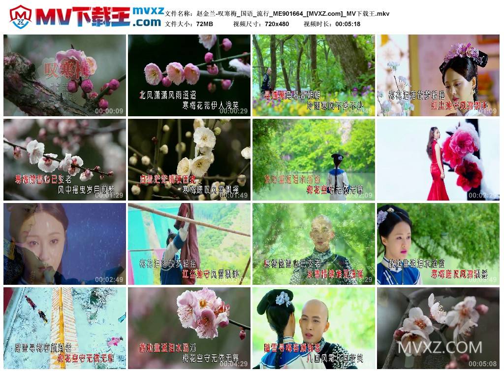 赵金兰-叹寒梅_国语_流行_ME901664